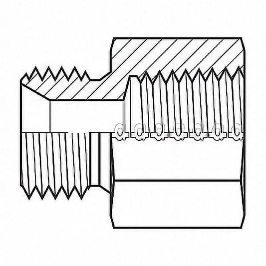 Adaptall Hose Adapter,1/2",BSPP,1/2",NPT 9035-0808