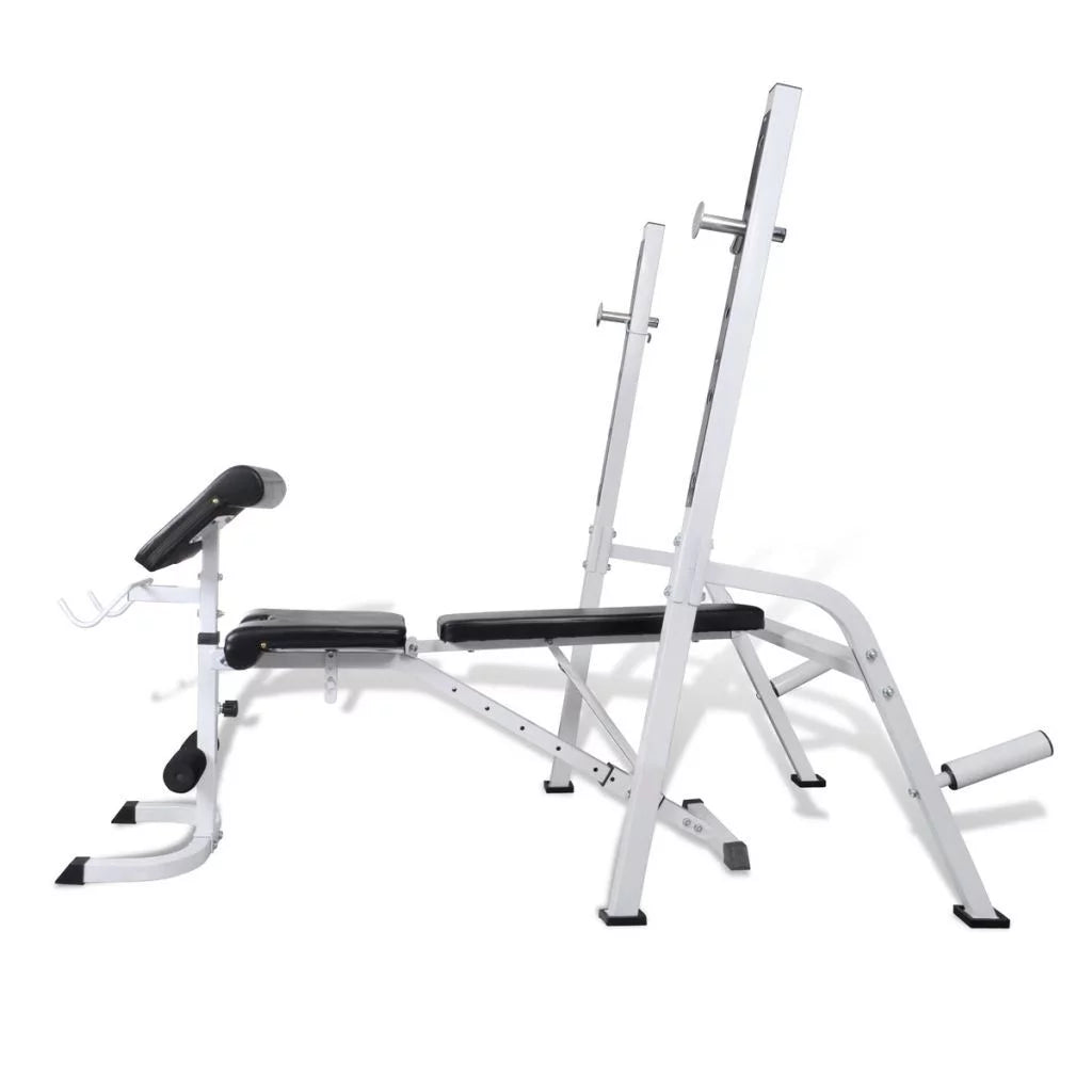 vidaXL Multi-exercise Workout Bench