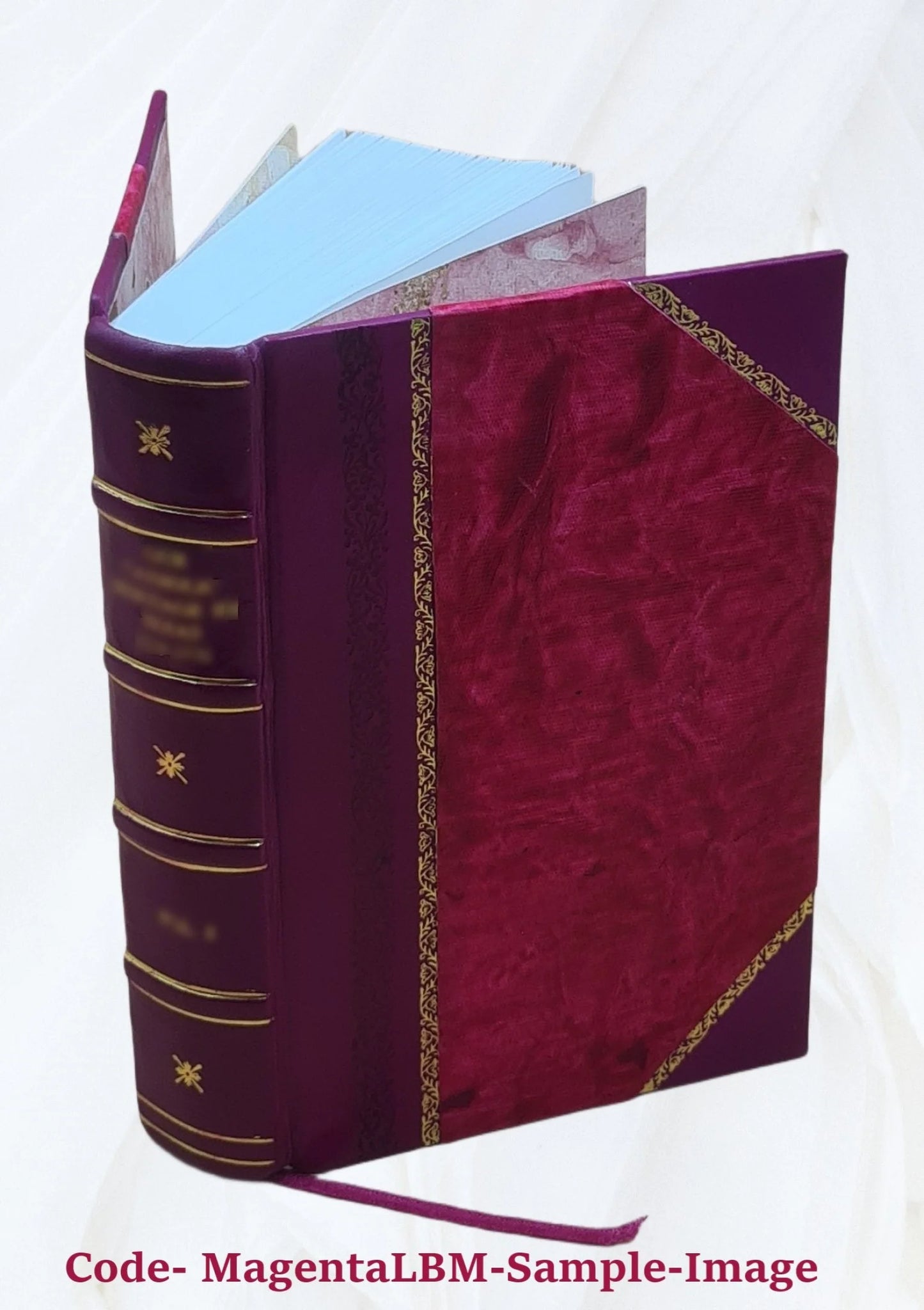 An Bagong Tipan ò Testamento nin cagurangnan tang Jesu-Cristo na nalalagdaan can magña evangelio asin magña gawe nin magña apostoles 1909 [Leather Bound]