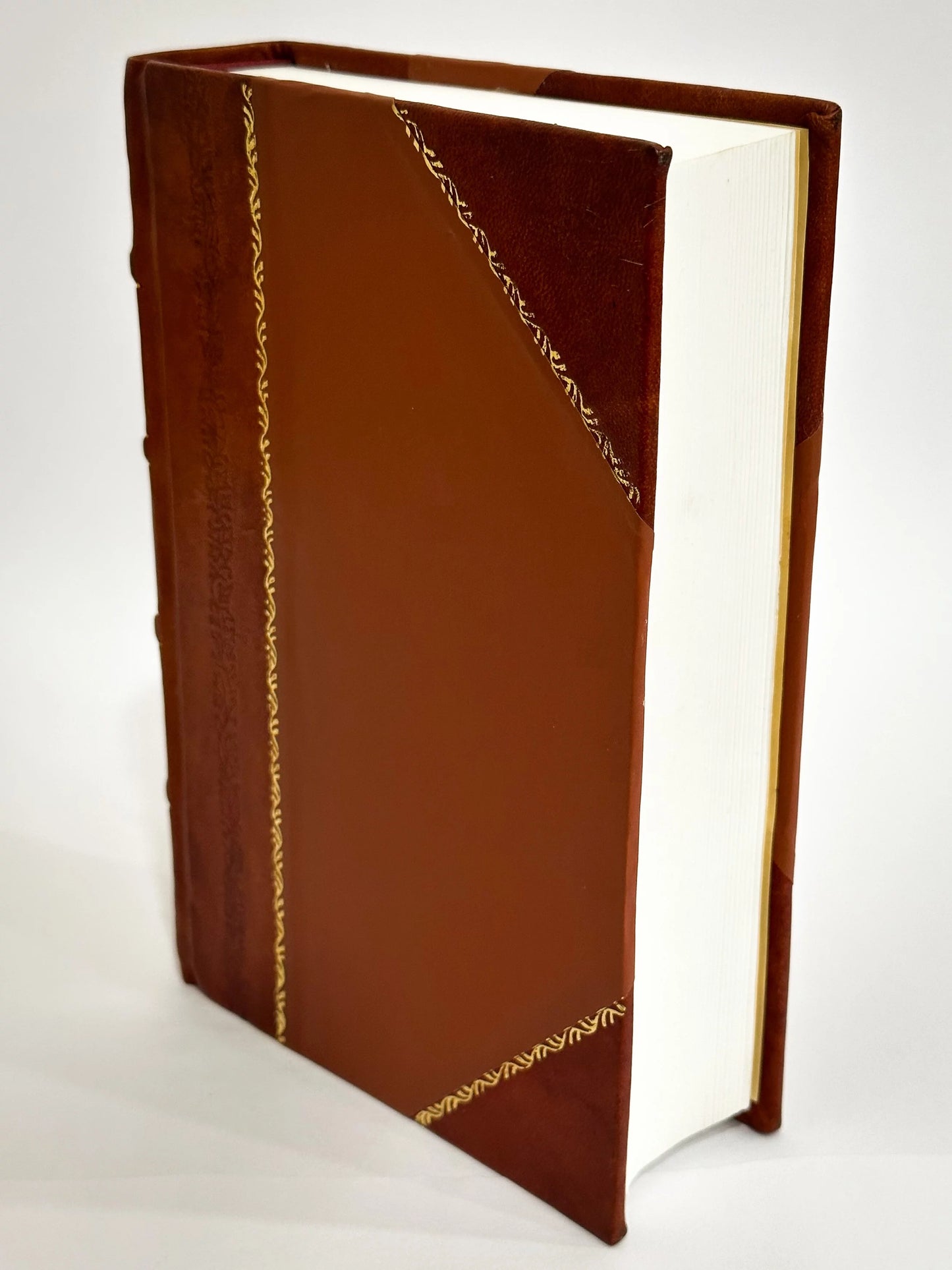 Strade Ferrate Romane Atti Organici Della Societa Anonima Delle Strade Ferrate Romane, Fusione in Una Sola Gran Societa Delle Scieta Delle Strade Ferrate Livornesi, Maremmana, (1865) [Leather Bound]