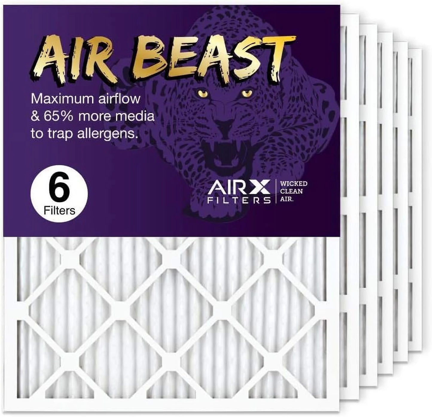 20X25x1 Air Filter MERV 11 Pleated HVAC AC Furnace Air Filter, Air Beast 6-Pack Made In The