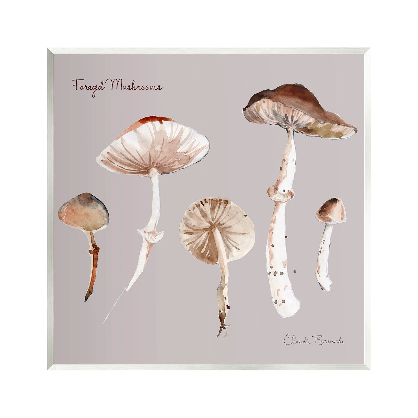 Stupell Industries Foraged Mushrooms Study Botanical & Floral Painting Unframed Art Print Wall Art, 12 x 12