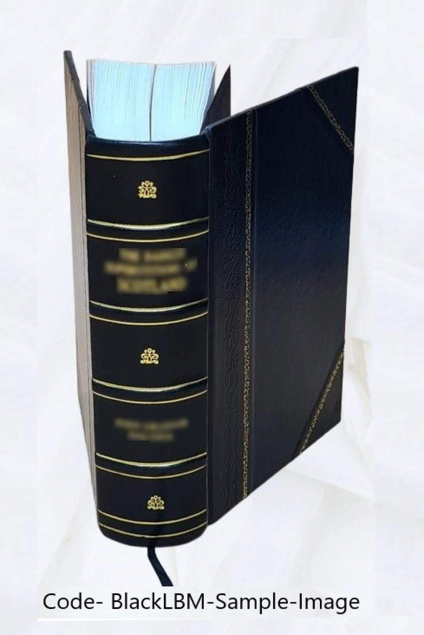 A dictionary of the Gaelic language, in two parts, I. Gaelic and English.--II. English and Gaelic ... By the Rev. Dr. Norman Macleod ... and the Rev. Dr. Daniel Dewar. 1839 [Leather Bound]