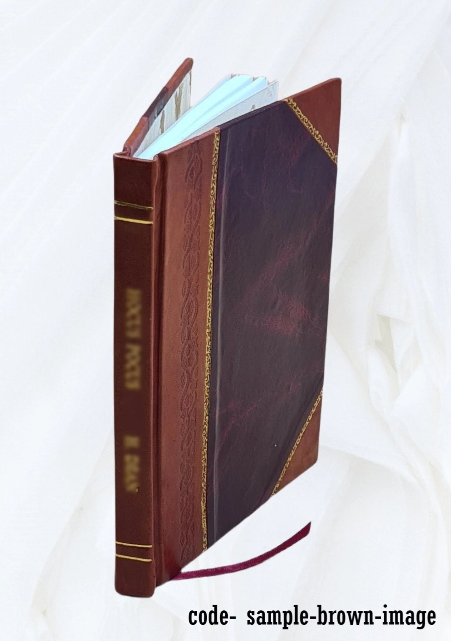 Transactions of the Section on Gynecology of the College of Physicians of Philadelphia. v.1 (1895). Volume v.1 (1895) 1895 [Leather Bound]